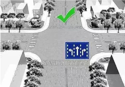法律小常识驾照法律知识大全，你都知道哪些?