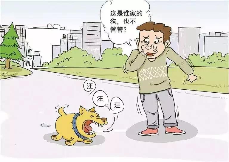 金毛犬被杀案-以暴制暴，绝不是解决问题的唯一办法